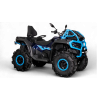CFORCE 1000 MV